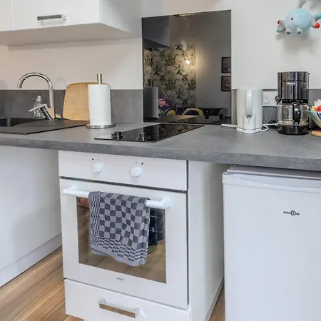 Appartement Le Pokémon - Wifi - 600m Centre