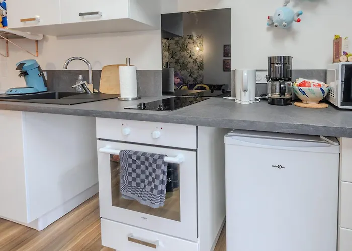 Appartement Le Pokémon - Wifi - 600m Centre