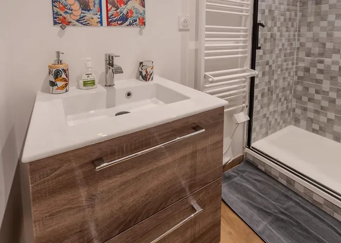 Le Pokémon - Wifi - 600m Centre Appartement